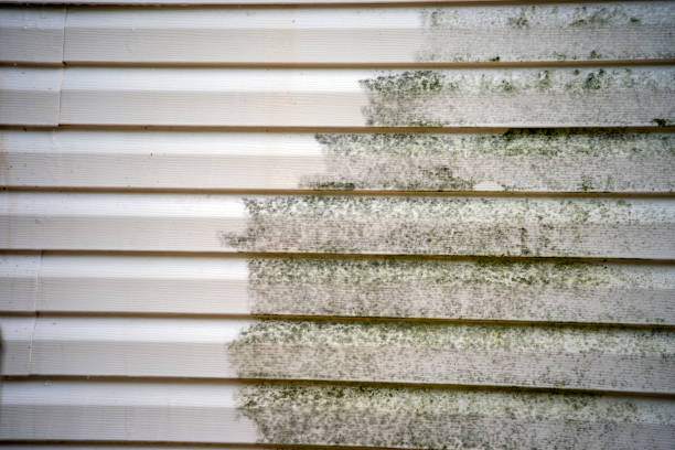 Best Wood Siding Installation  in Franklinton, LA