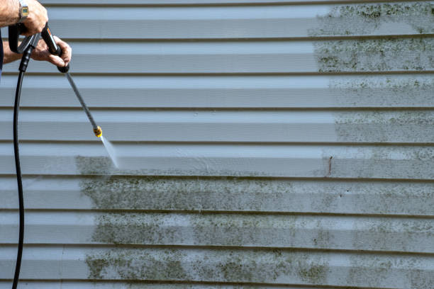 Best Fiber Cement Siding Installation  in Franklinton, LA