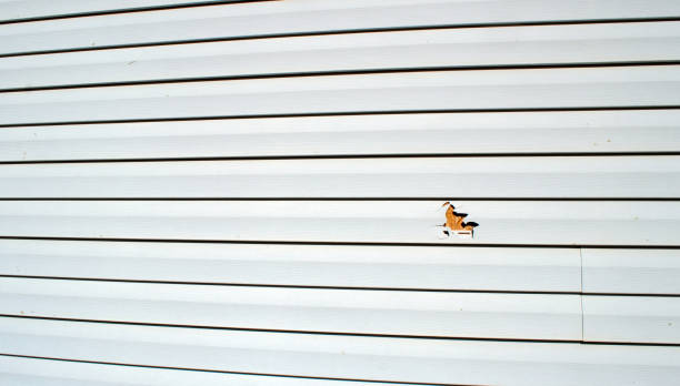 Best Engineered Wood Siding  in Franklinton, LA