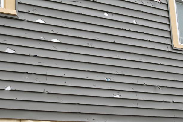 Best Siding for New Construction  in Franklinton, LA